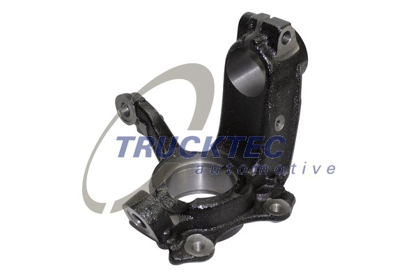 Поворотный кулак подвеска колеса TRUCKTEC AUTOMOTIVE 07.31.290