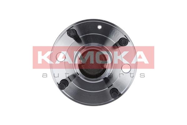 Комплект подшипника ступицы колеса KAMOKA 5500091
