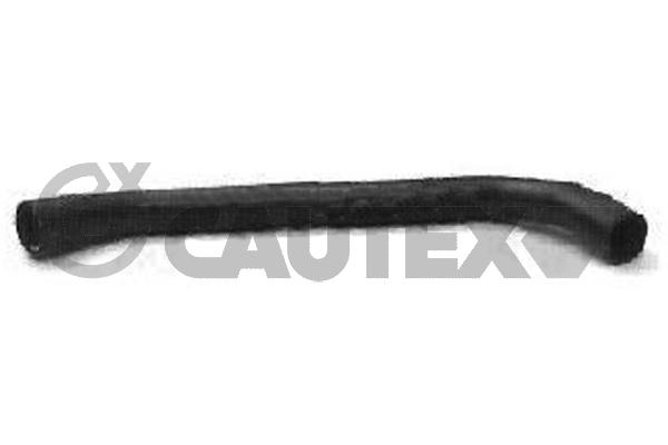 Шланг радиатора CAUTEX 016343