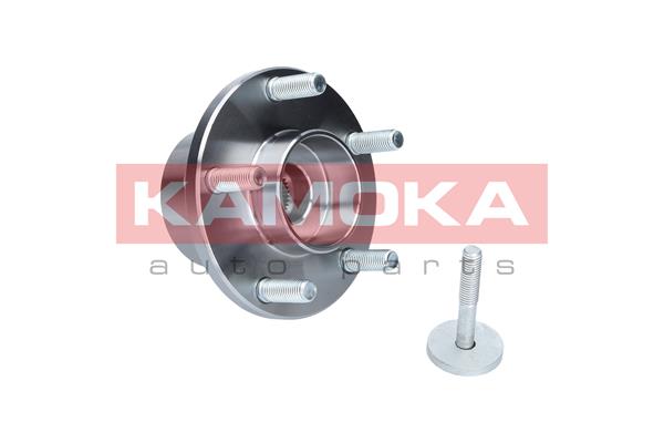 Комплект подшипника ступицы колеса KAMOKA 5500065