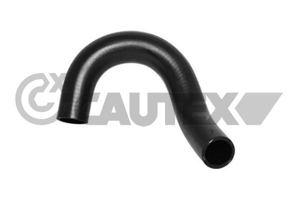 Шланг радиатора CAUTEX 754348