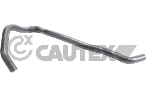 Шланг радиатора CAUTEX 765494