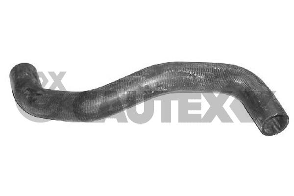 Шланг радиатора CAUTEX 026548