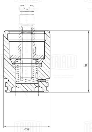 Поршень корпус скобы тормоза TRIALLI RCF032195P