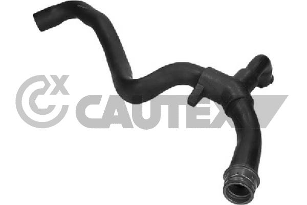 Шланг радиатора CAUTEX 026831
