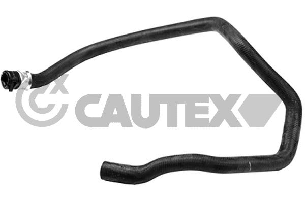 Шланг радиатора CAUTEX 031353