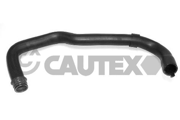 Шланг радиатора CAUTEX 036409