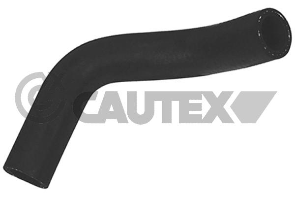 Шланг радиатора CAUTEX 026818