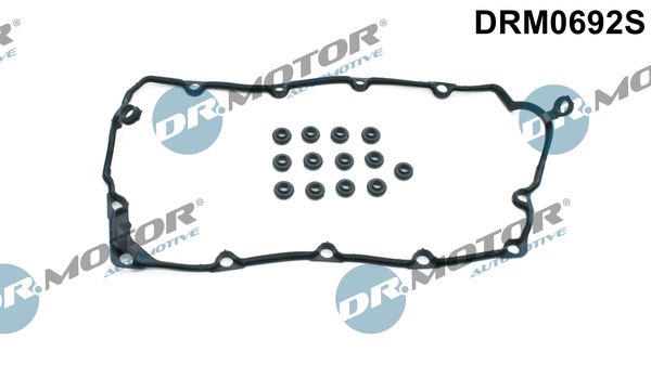 Комплект прокладок крышка головки цилиндра audi seat skoda vw a3 1.9 tdi 0310 a3 1.9 DR.MOTOR AUTOMOTIVE DRM0692S