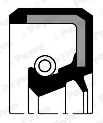 Уплотняющее кольцо распределительного вала PAYEN NJ706