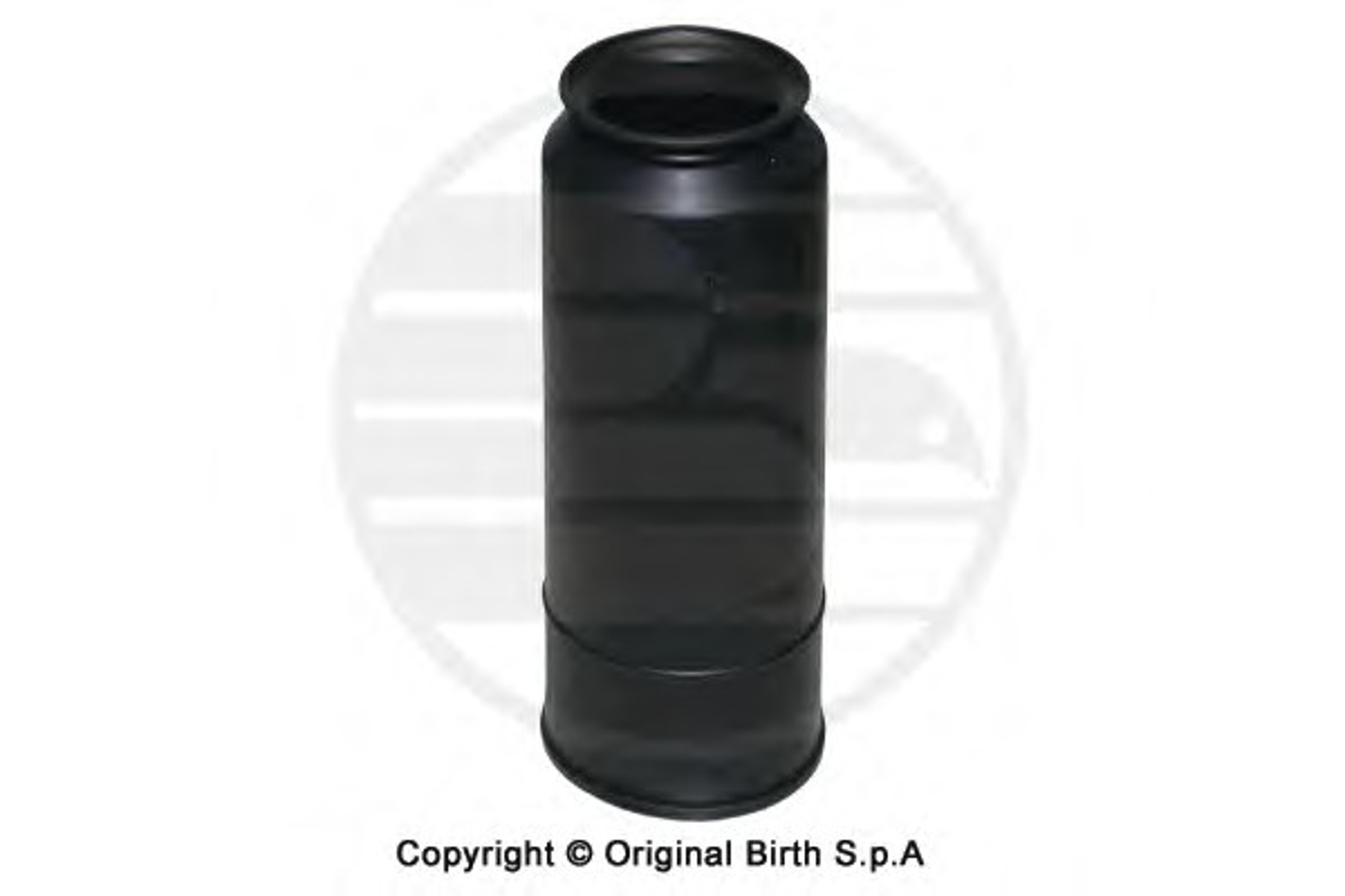 Защитный колпак / пыльник амортизатор BIRTH 51394
