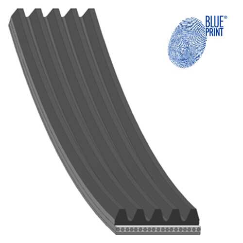 Поликлиновой ремень (ручейковый) BLUE PRINT AD05R903