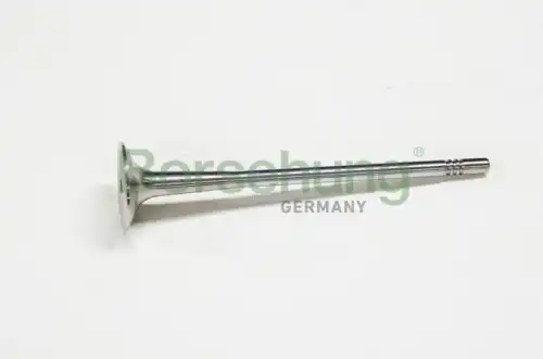 B10321 клапан выпускной 25.0x5x110.2 BORSEHUNG B10321
