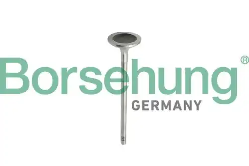 Клапан грм BORSEHUNG B10343