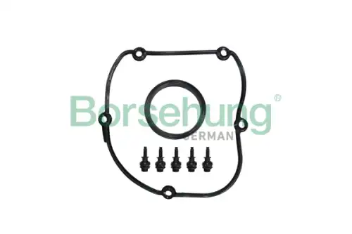 Комплект прокладок двигателя BORSEHUNG B10629