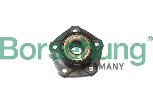 B11286 к-кт подшипника ступицы задн. BORSEHUNG B11286