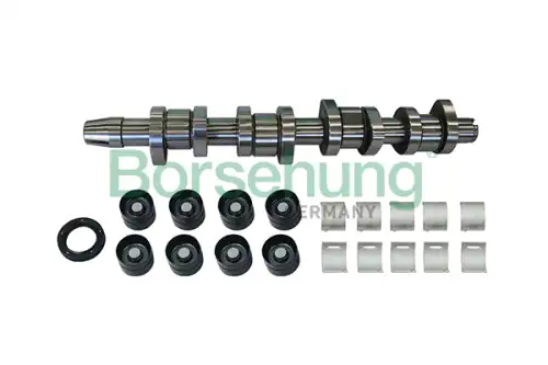 Ремкомплект распредвала BORSEHUNG B11307
