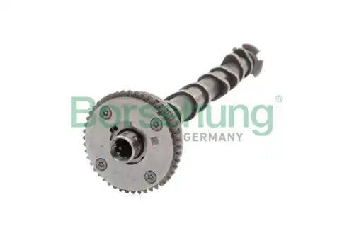 B11319 вал распределительный BORSEHUNG B11319