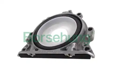 Сальник в корпусе BORSEHUNG B12196