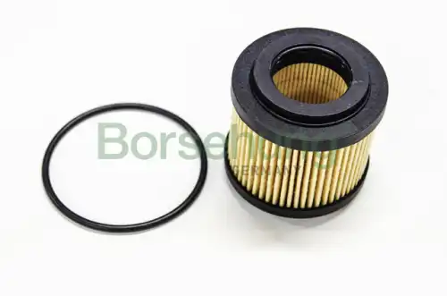 Фильтр масляный BORSEHUNG B12219