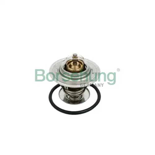 Термостат BORSEHUNG B18259