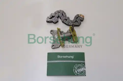 B18847 рем.к-кт цепи грм BORSEHUNG B18847