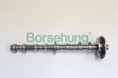 Распредвал двигателя BORSEHUNG B18979