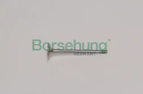 Клапан грм BORSEHUNG B19011