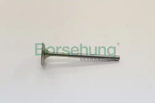 B19019 клапан впускной 29.5x6x100.9 BORSEHUNG B19019