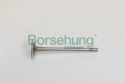 Клапан грм BORSEHUNG B19021