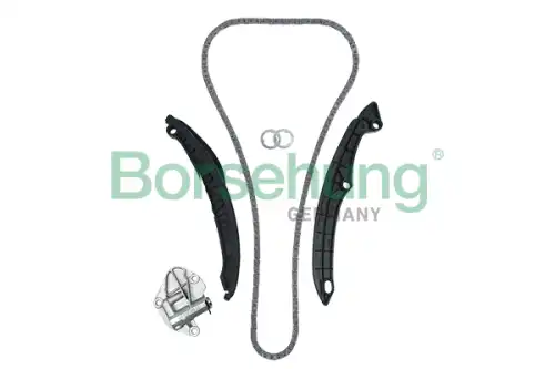 B19229 рем.к-кт цепи грм BORSEHUNG B19229