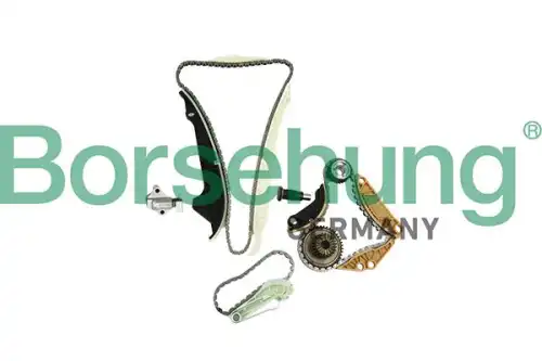 B19254 рем.к-кт цепи грм BORSEHUNG B19254