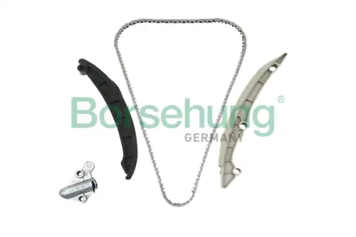 B19257 ремкомплект грм цепной cо звездочками BORSEHUNG B19257