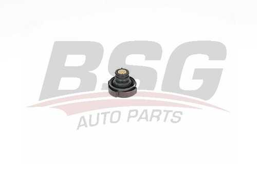 Bsg 15-551-003 крышка расширительного бачка радиатора/ bmw 3567x3x5 (e30343638394660616 BSG BSG 15-551-003