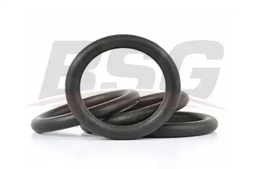 Прокладка впускного коллектора bsg (резина) BSG BSG 30-922-075