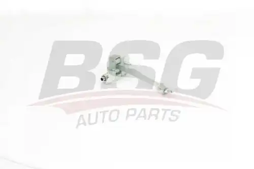 Ограничитель открывания передней двери (bsg 75-975-009) BSG BSG75975009