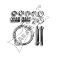 Монтажный комплект катализатора CAUTEX 030372