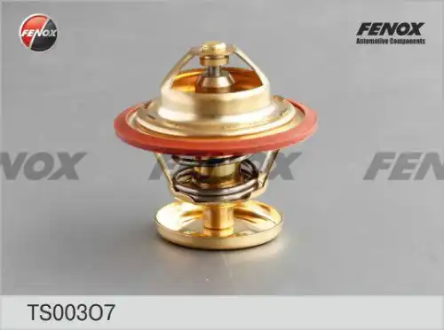 Термостат FENOX TS003O7