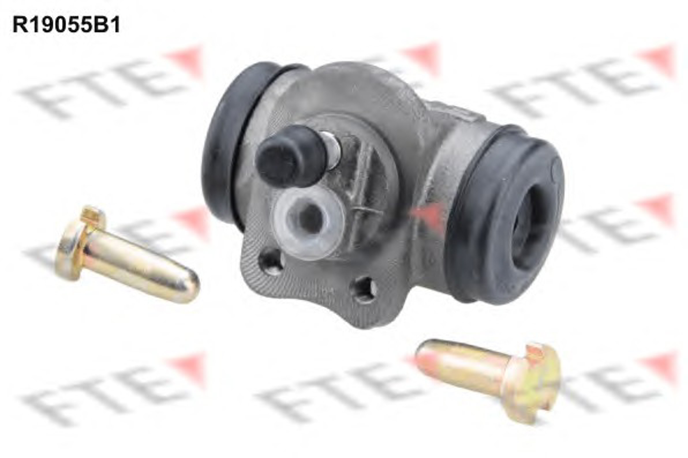 Цилиндр тормозной рабочий FTE R19055B1