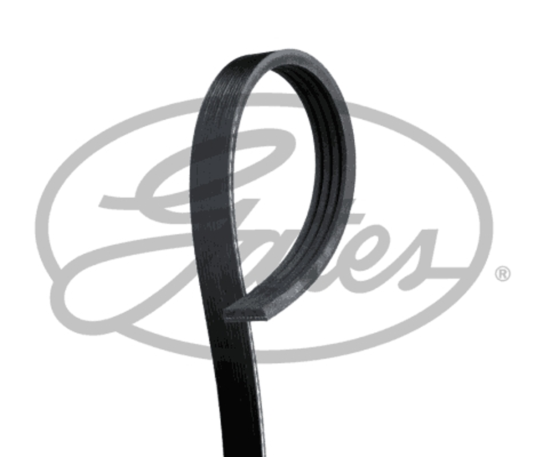 Ремень поликлиновой GATES 4PK1170