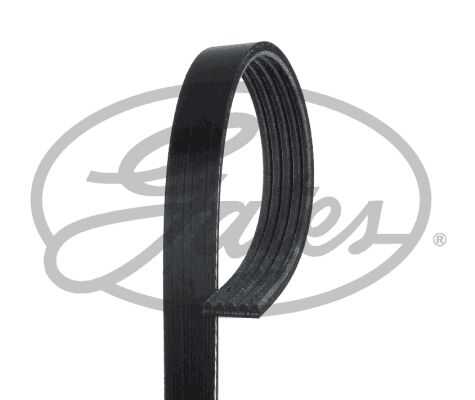 Поликлиновой ремень (ручейковый) GATES 5PK1230
