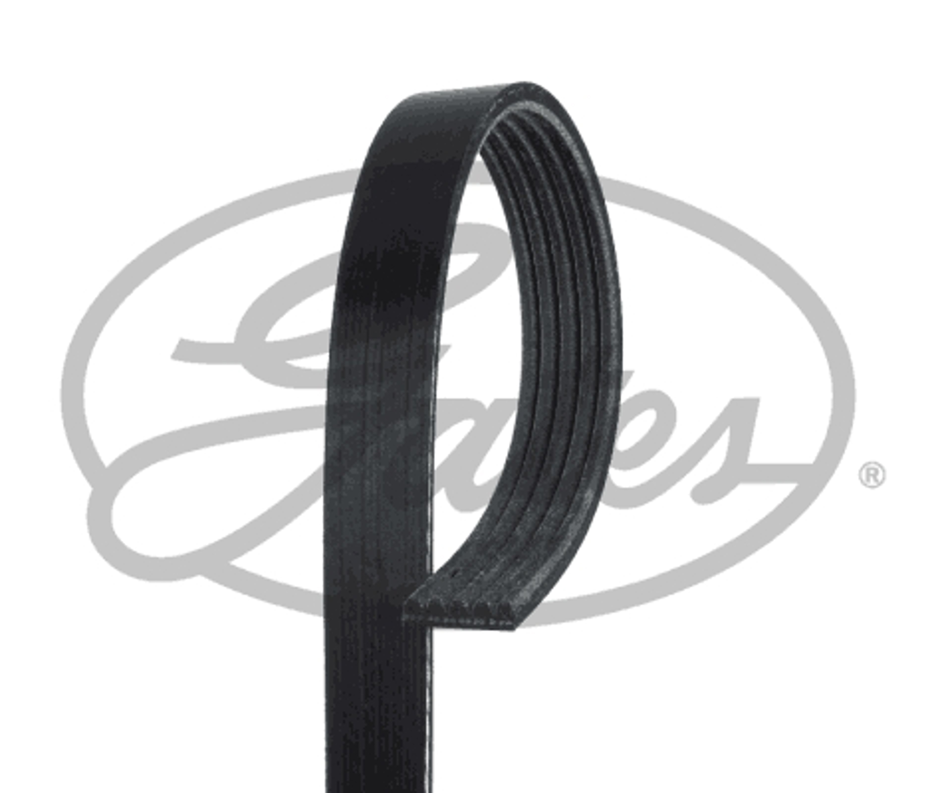 (8653-10804) ремень ручейковый gates GATES 5PK1385