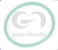 Прокладка коллектора GUARNITAUTO 184765-8300