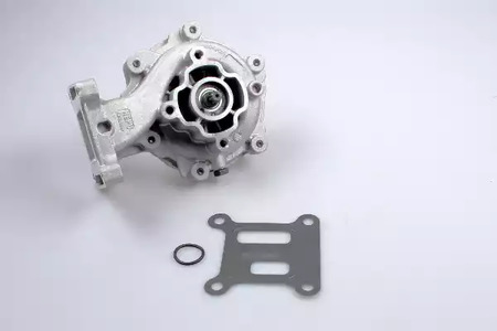 Насос водяной HEPU P246