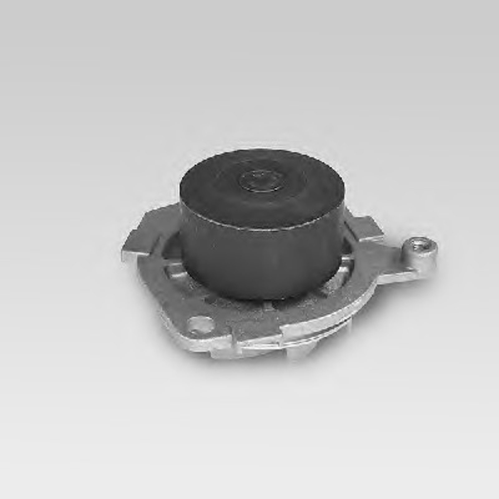 Насос водяной HEPU P1045