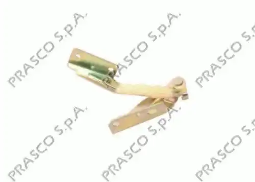 Петля капота PRASCO FD4203703