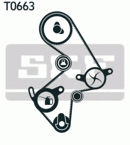 Комплект грм SKF VKMA91003