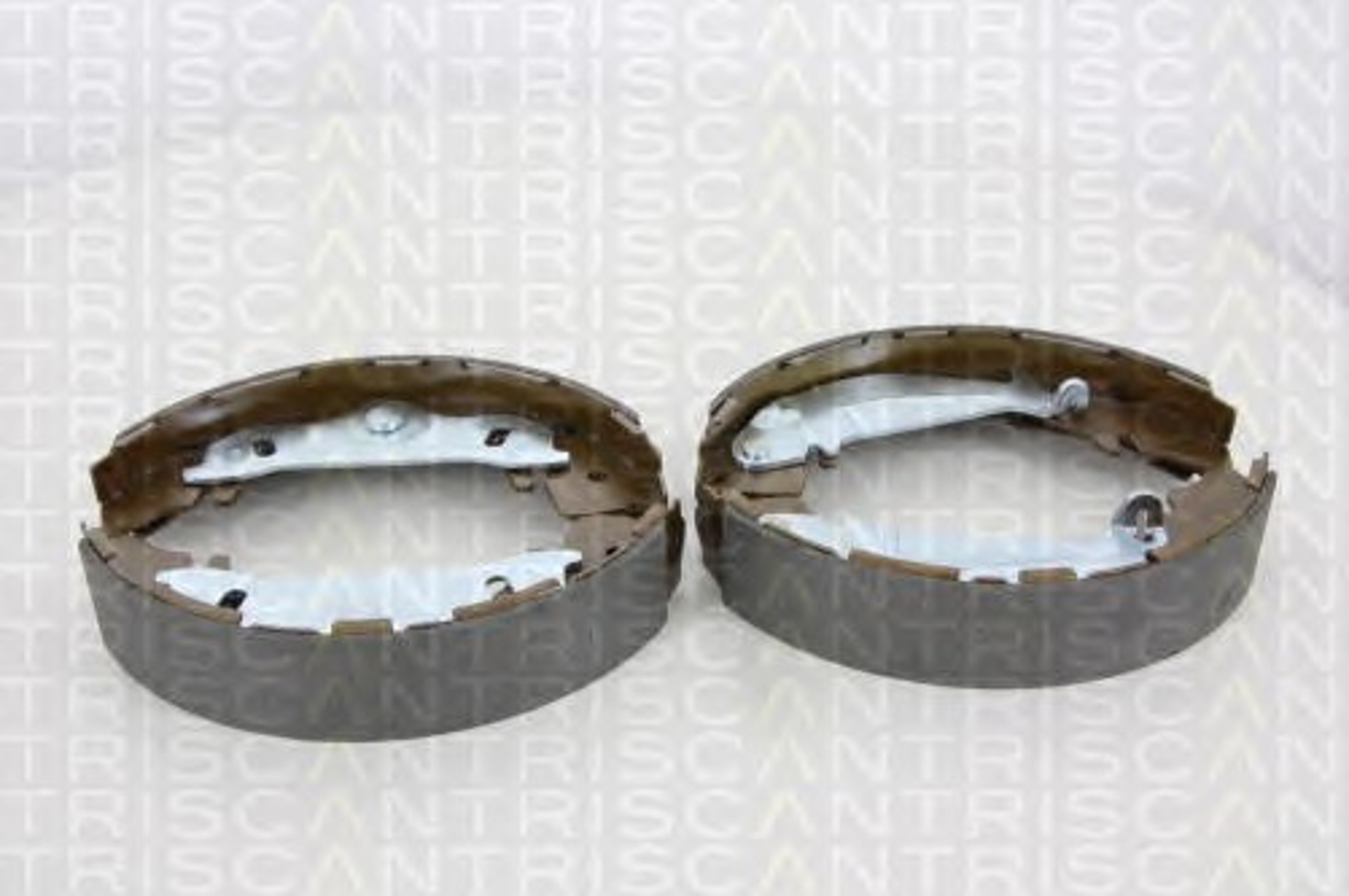 Колодки тормозные барабанные TRISCAN 8100 43017
