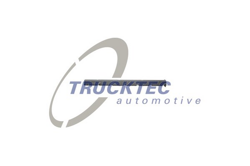 Защитный колпак штепсельной вилка TRUCKTEC AUTOMOTIVE 02.17.025