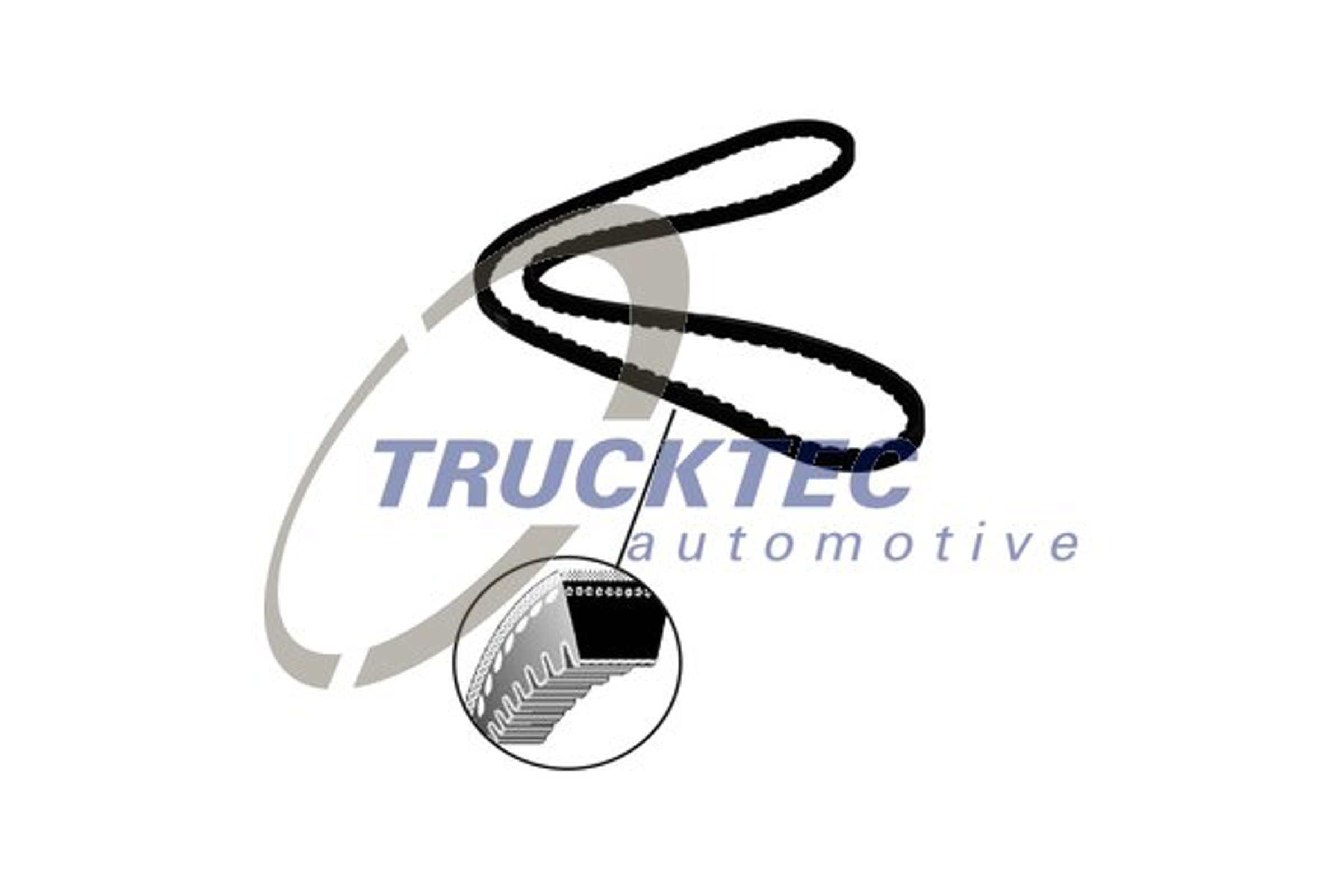 Ремень клиновой TRUCKTEC AUTOMOTIVE 08.19.095